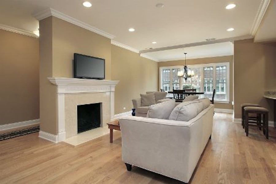 Living Room 1